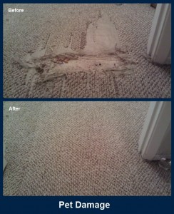 carpet-repair-3